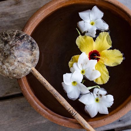 Hotel Vilarejo Preá Zewnętrze zdjęcie